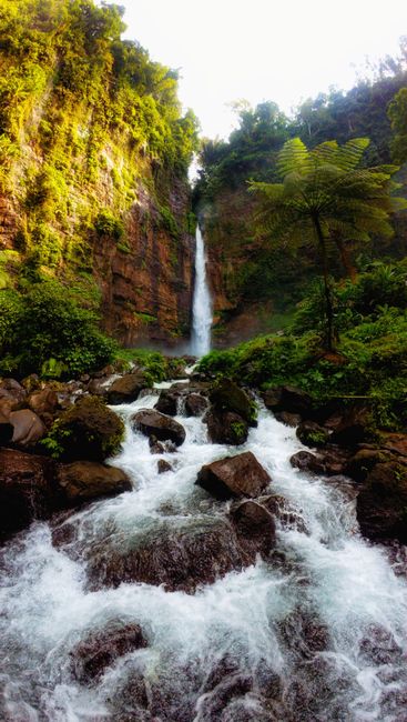 Detail Foto Air Terjun Dengan Hutan Tropis Number 13