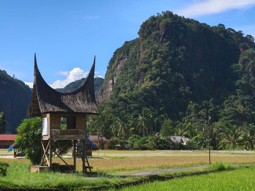 Detail Gambar Pemandangan Lembah Harau Number 2