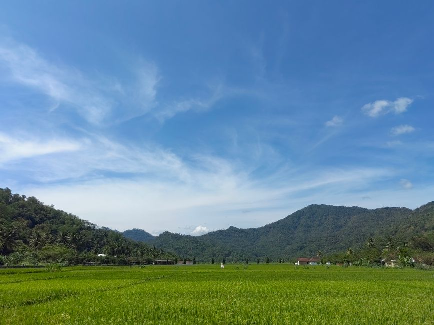 Detail Gambar Nature Untuk Background Zoom Number 18