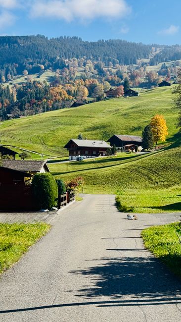 Detail Foto Pemandangan Alam Swiss Number 13