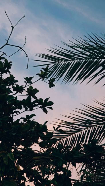 Detail Gambar Alam Aesthetic Untuk Wallpaper Number 4