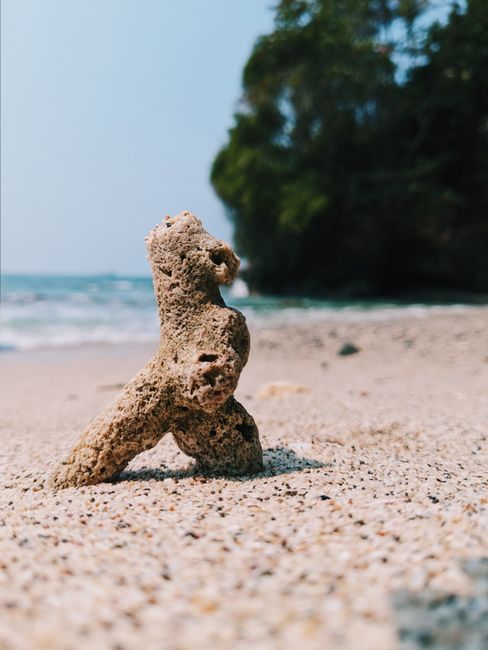 Detail Gambar Pantai Dan Batu Karang Number 20