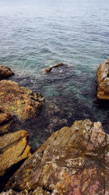 Foto Laut Jernih Dan Karang
