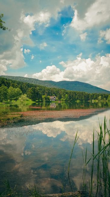 Detail Wallpaper Danau Untuk Hp Android Number 15