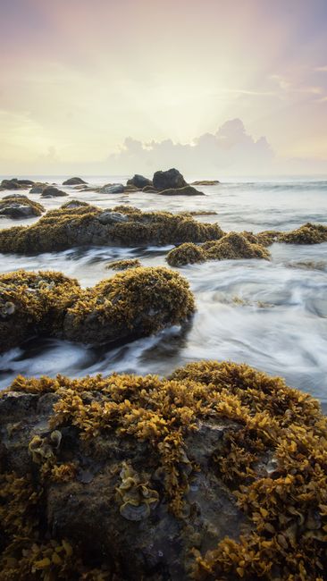 Detail Gambar Pantai Dan Batu Karang Number 7