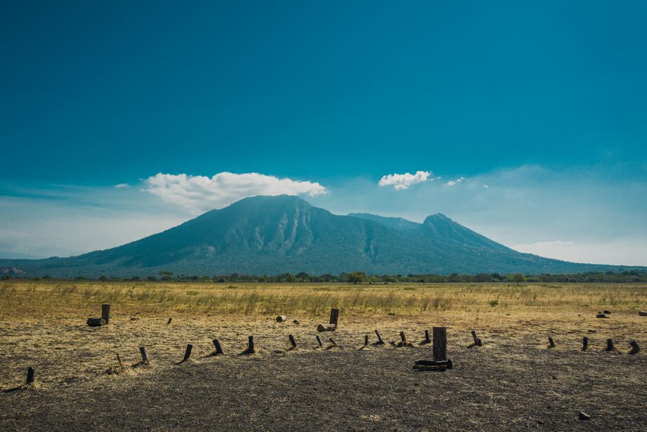 Detail Foto Savana Baluran Yang Indah Number 10