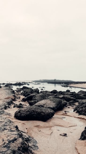 Detail Gambar Pantai Dan Batu Karang Number 18