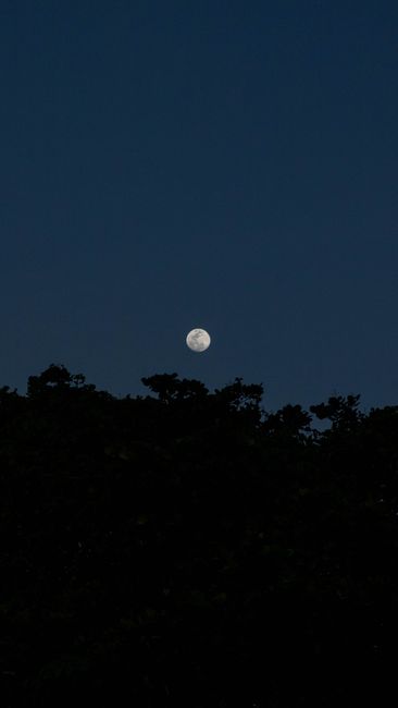 Detail Foto Langit Malam Dengan Bulan Number 10