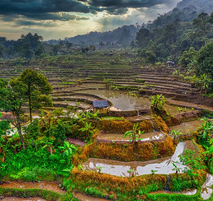 Detail Foto Pemandangan Desa Dan Sawah Number 17