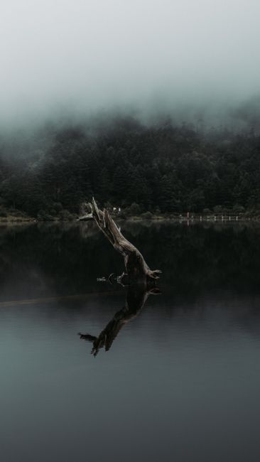 Detail Gambar Kabut Di Atas Danau Number 19