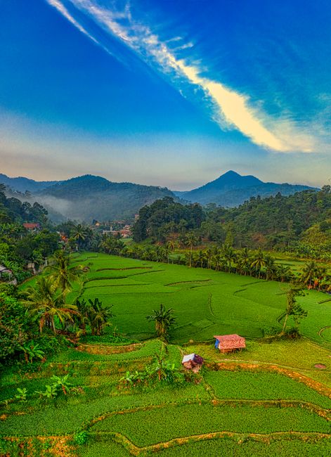 Detail Foto Pemandangan Desa Dan Sawah Number 18