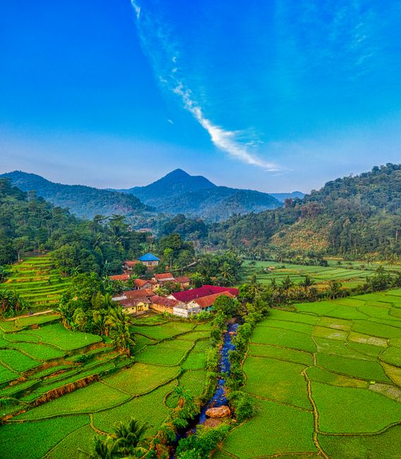 Detail Gambar Pemandangan Kampung Dan Sawah Number 10