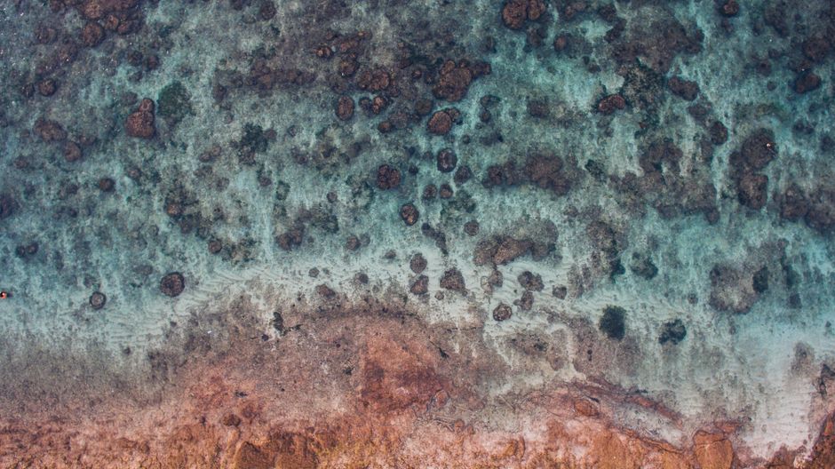 Detail Foto Karang Laut Dari Atas Number 20
