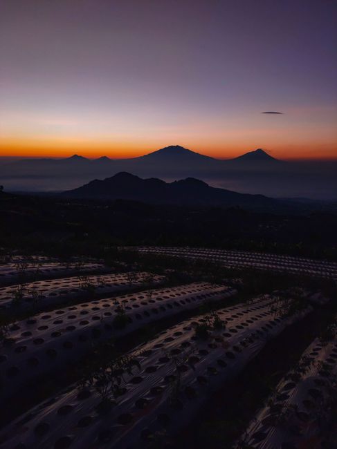 Detail Foto Sunset Landscape Resolusi Tinggi Number 11