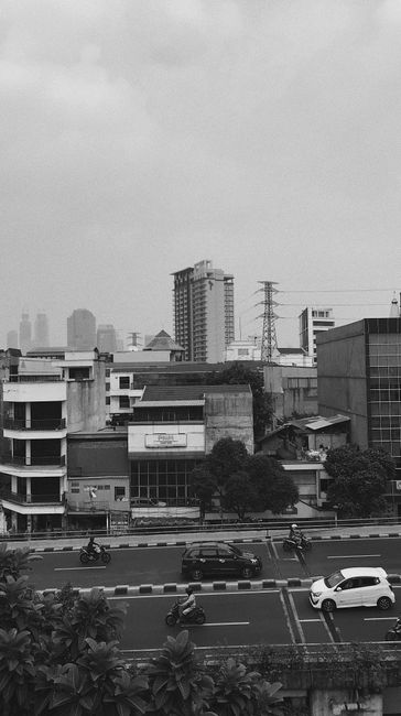 Detail Gambar Penghijauan Kota Dan Alam Number 5