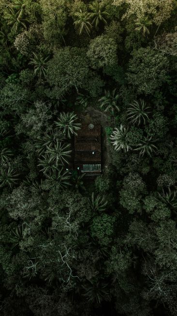 Detail Foto Pemandangan Hutan Dari Atas Number 19