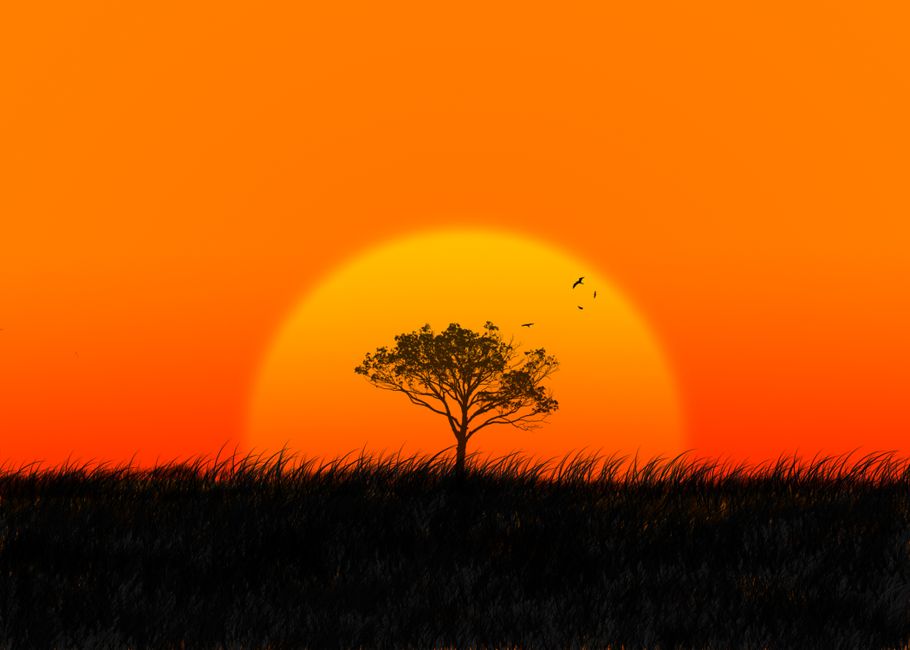 Detail Background Sunset Untuk Desain Poster Number 3