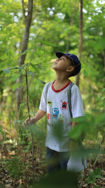 Detail Gambar Ekosistem Hutan Yang Mudah Number 20