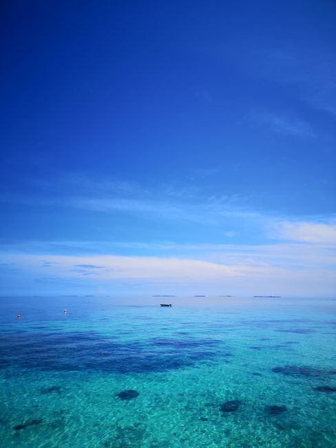 Detail Background Laut Tropis Untuk Desain Number 7