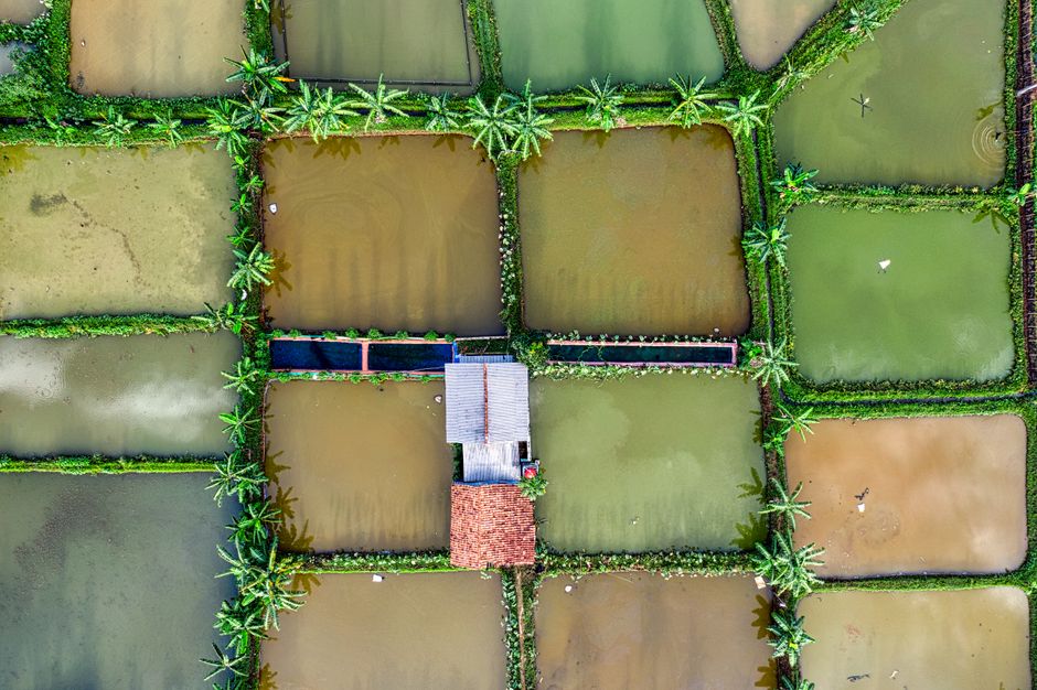 Gambar Landscape Dengan Warna Natural 5d25