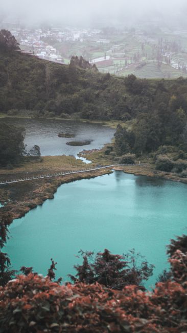 Foto Danau Di Tengah Hutan