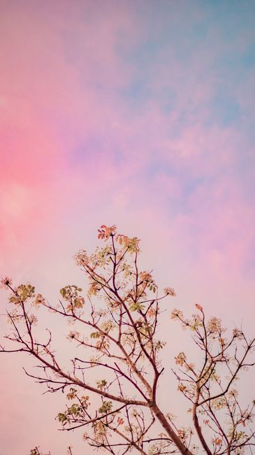 Detail Gambar Alam Aesthetic Untuk Wallpaper Number 15