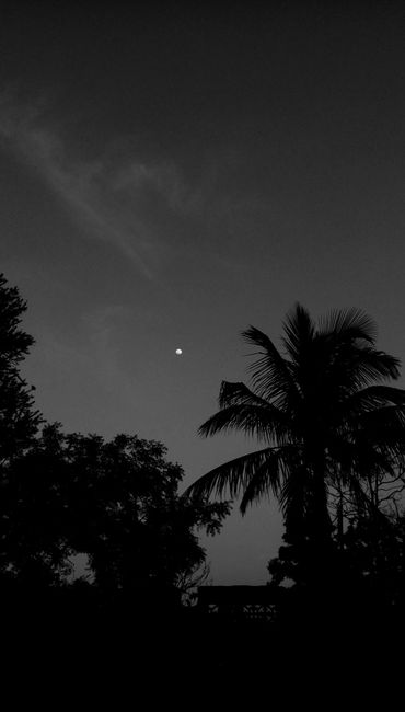 Detail Foto Langit Malam Dengan Bulan Number 4