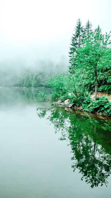 Detail Gambar Danau Dan Kabut Pagi Number 13