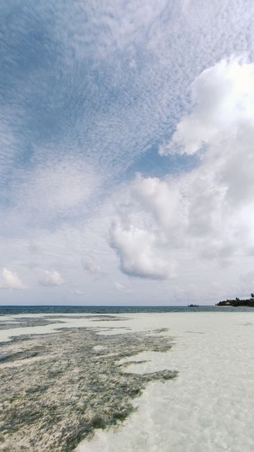 Detail Gambar Laut Tropis Yang Indah Number 4