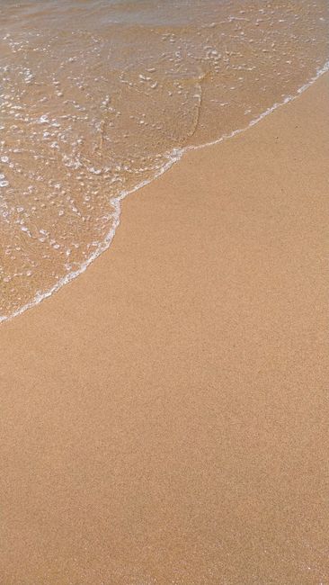 Detail Background Pantai Untuk Desain Banner Number 19