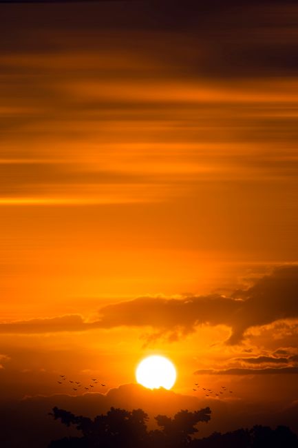 Detail Background Sunset Untuk Desain Poster Number 10