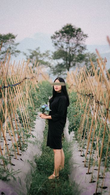Detail Foto Ladang Bunga Yang Indah Number 6