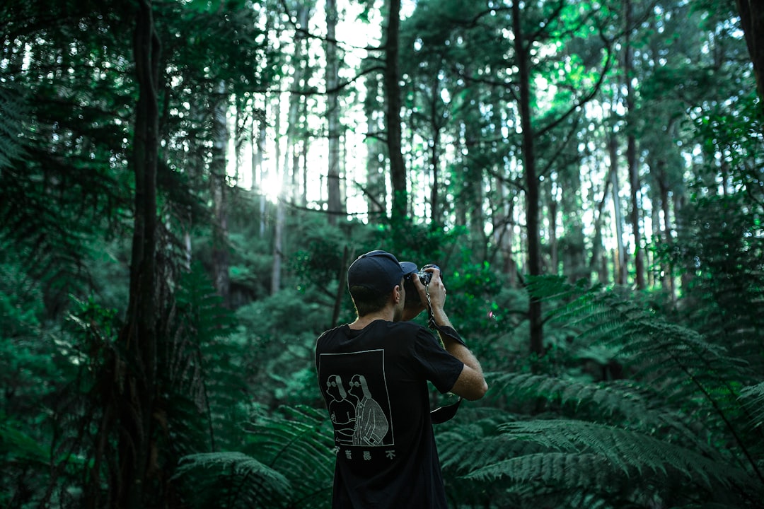 Foto Alam Dengan Tone Moody