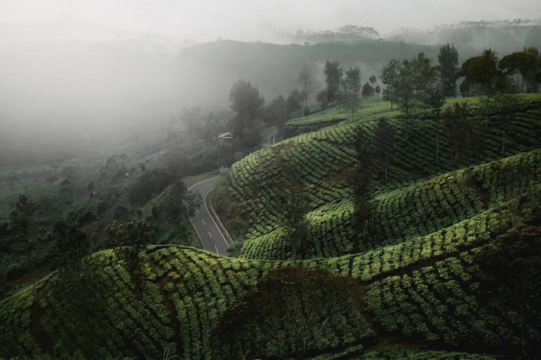 Detail Gambar Pemandangan Alam Aesthetic Number 18