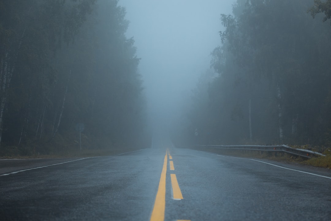 Empty Road Fog Morning Atmospheric Landscape 6e9f
