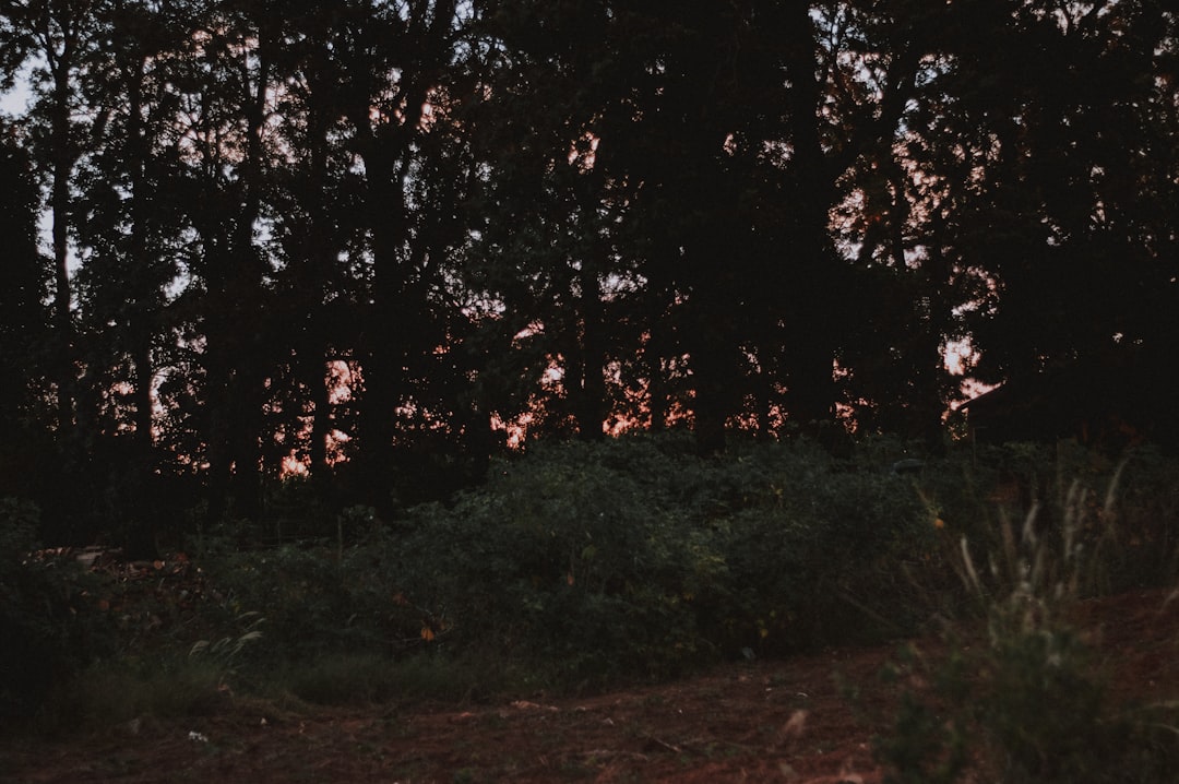 Detail Foto Landscape Aesthetic Untuk Instagram Number 7