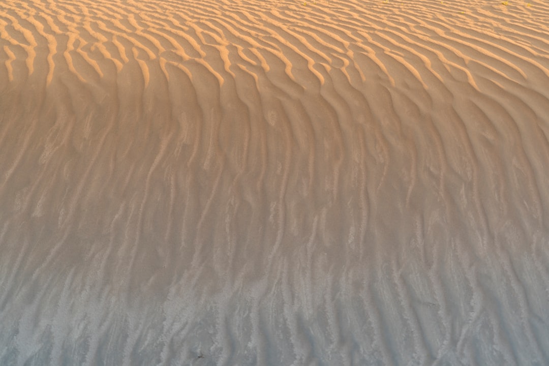 Detail Background Nature Aesthetic Beige Number 7