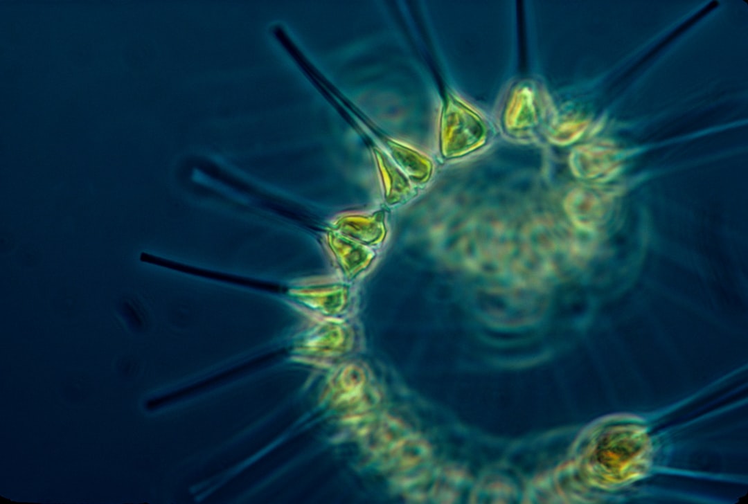 Biologische Probe Im Reagenzglas Foto D4a6