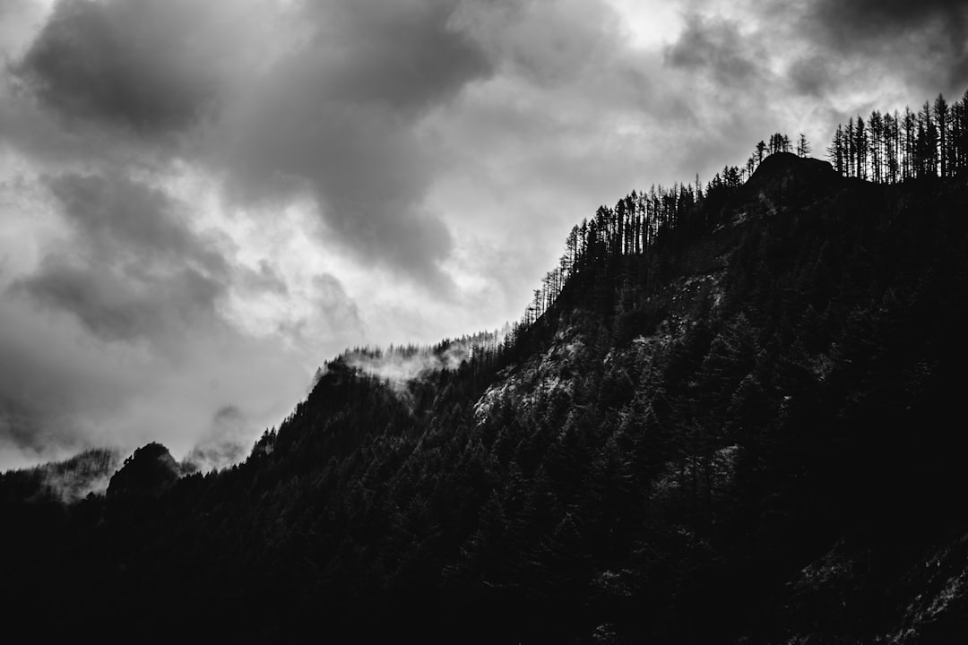 Detail Gambar Gunung Minimalis Hitam Putih Number 11