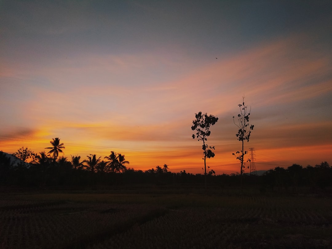 Detail Foto Sunset Aesthetic Tanpa Orang Number 10