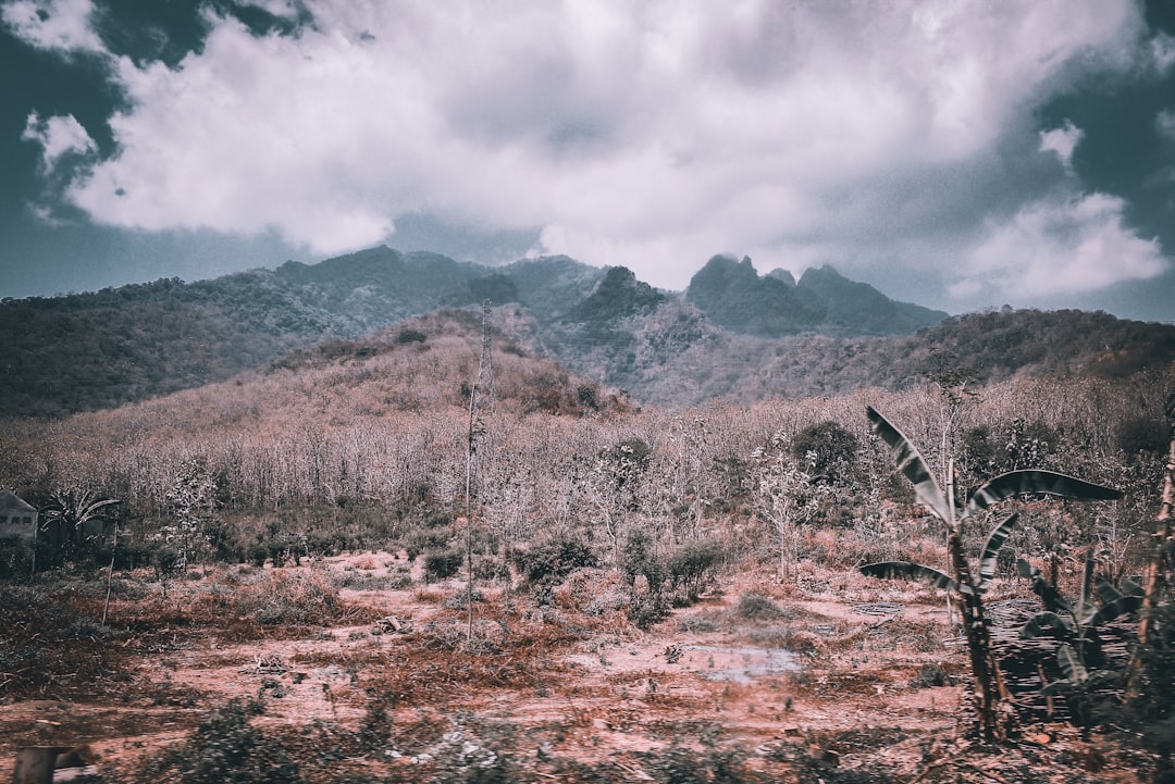Detail Foto Landscape Aesthetic Untuk Instagram Number 5
