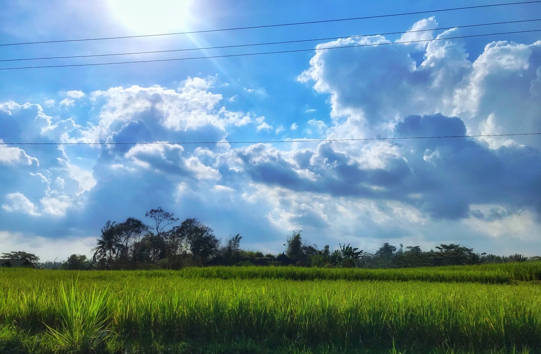 Detail Background Pemandangan Alam Png Number 19