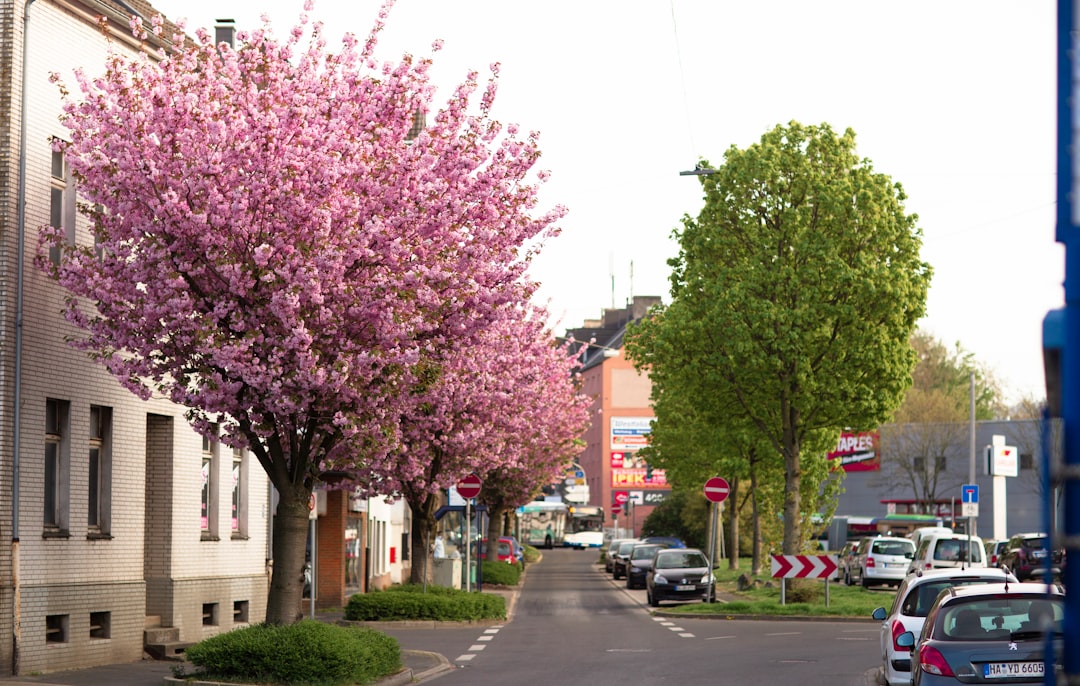 Reifenwechsel Im Fruehling Foto 9aaf