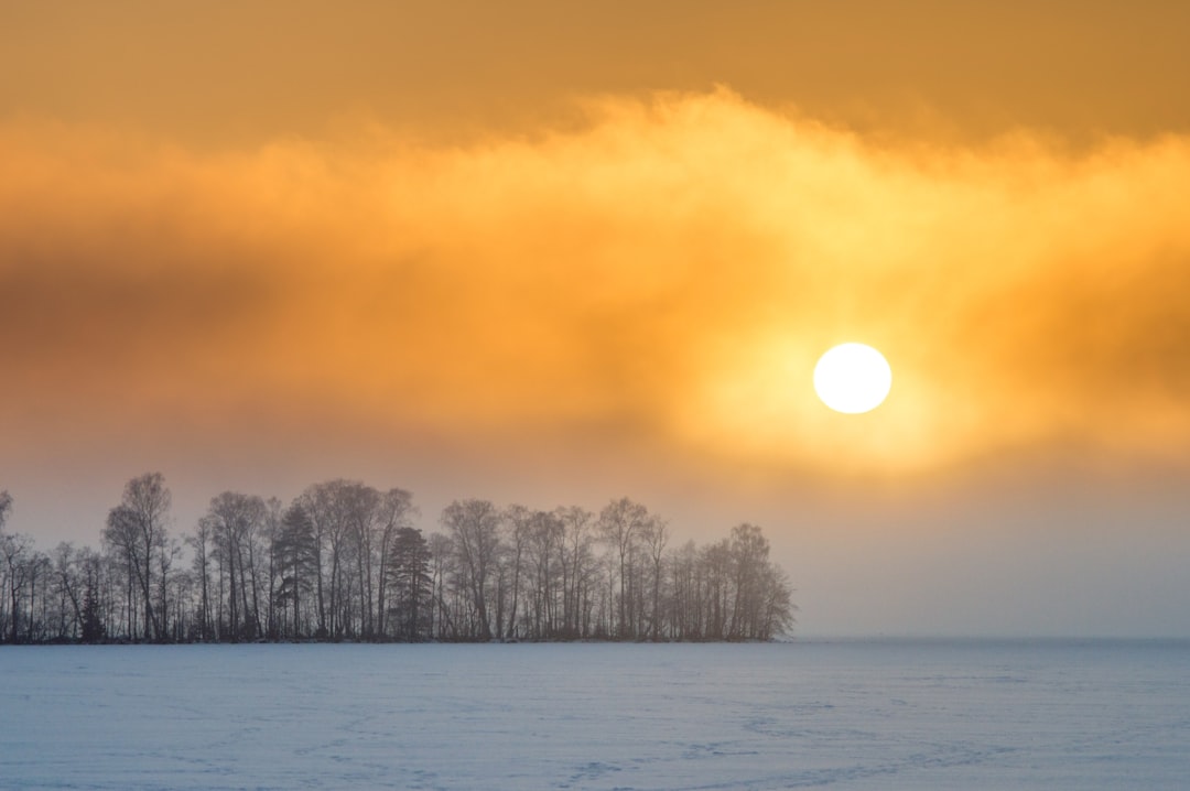 Winter Sonnenuntergang Schnee Golden 1685