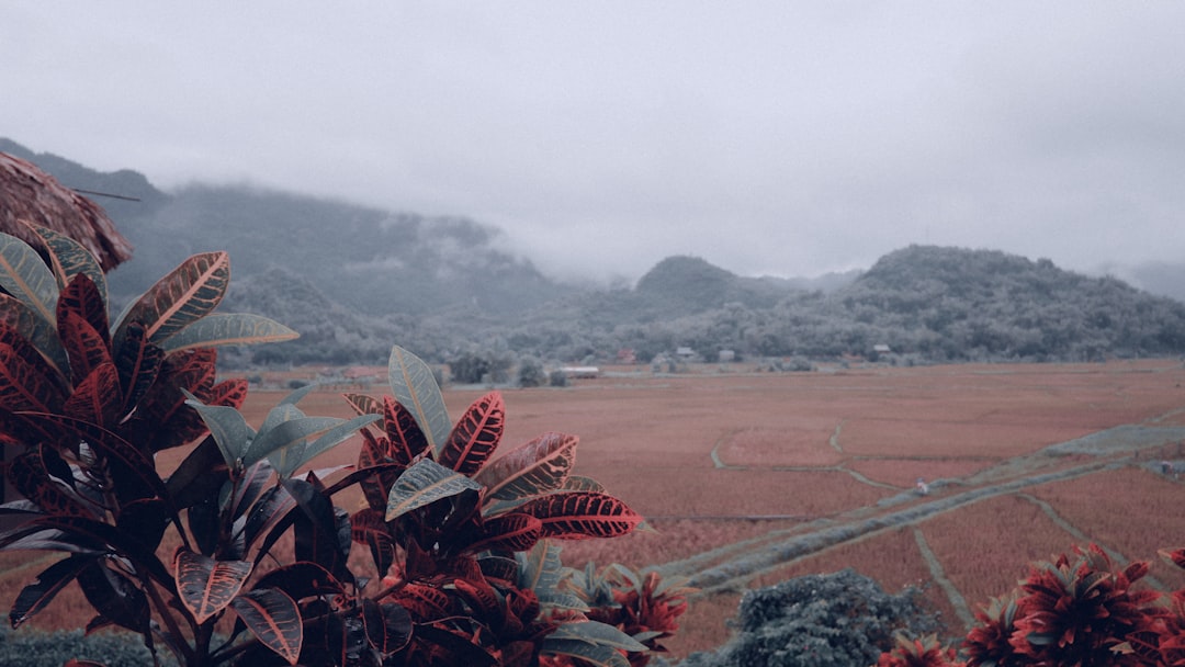 Foto Landscape Aesthetic Untuk Instagram F6f7