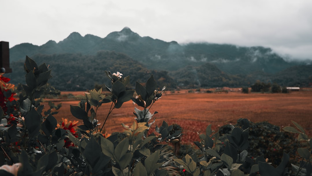 Detail Foto Landscape Aesthetic Untuk Instagram Number 2