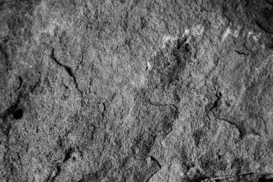 Sedimentgestein Nahaufnahme Wissenschaftliches Bild 56ec