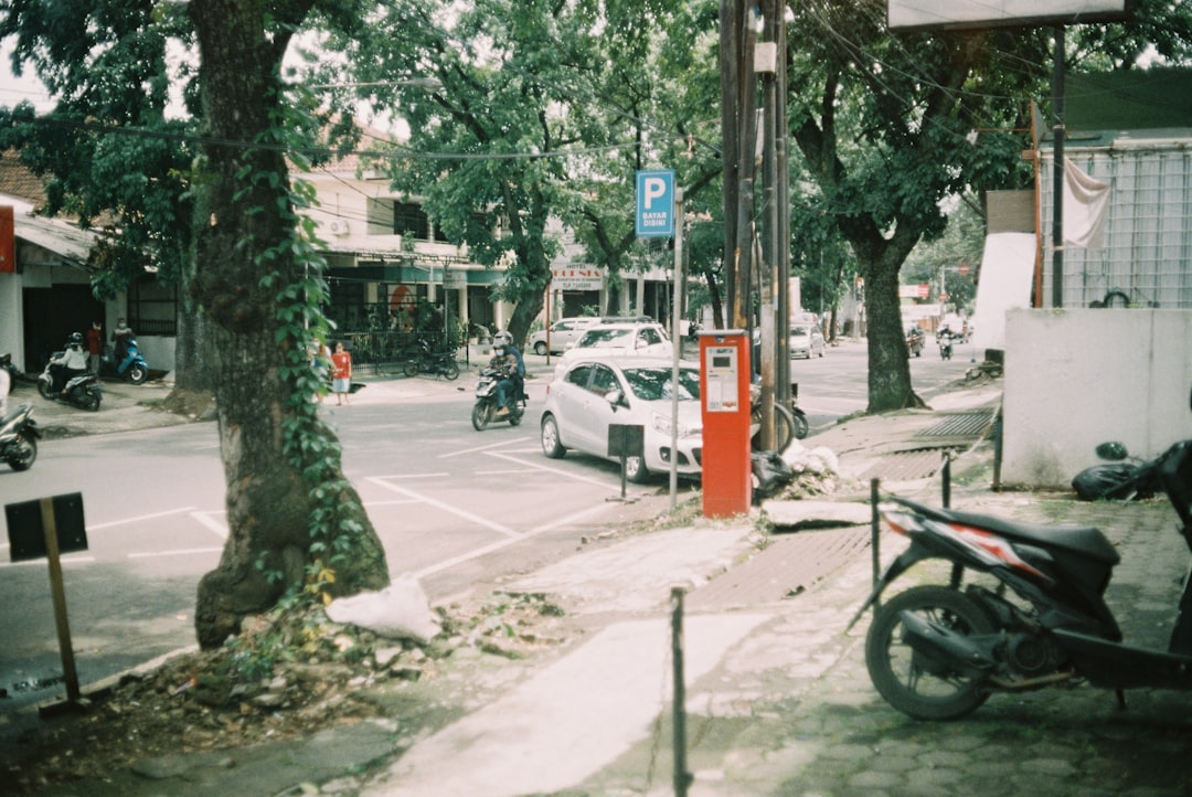 Detail Foto Pemandangan Film Analog Number 15