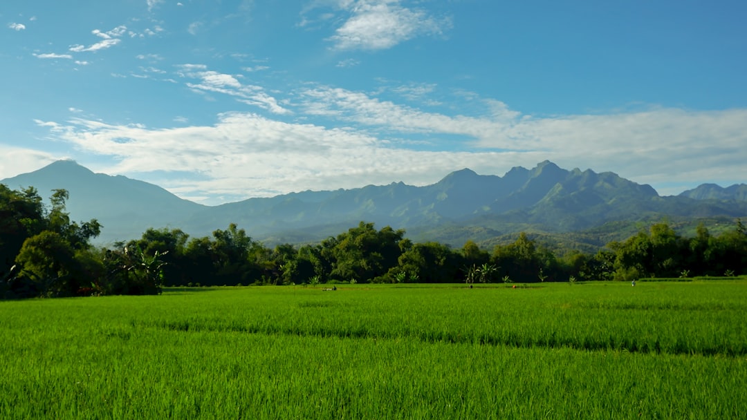 Detail Background Pemandangan Alam Png Number 2