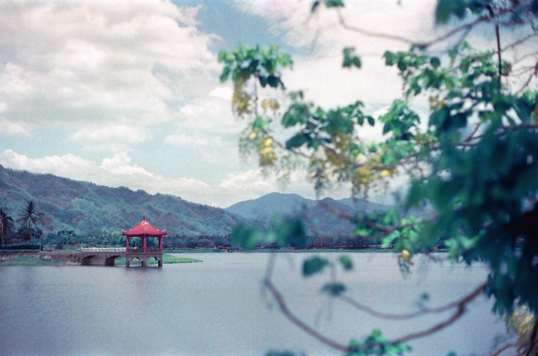 Detail Foto Pemandangan Film Analog Number 18
